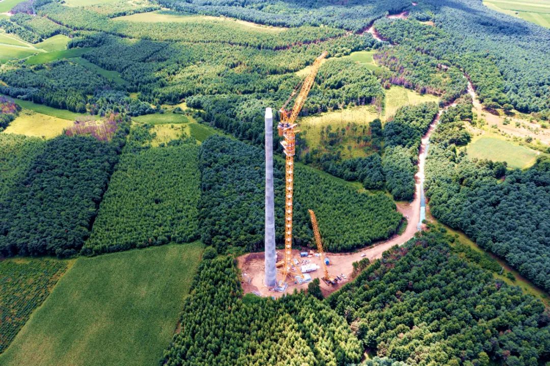 BBIN����ӯ����(�й�)���޹�˾