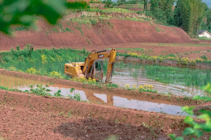 衰֡bbinӯڻУháng