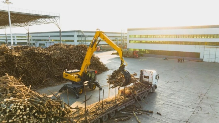 ����������?�����ֵ����ϳ�����ץ�𡱲���׽�󡱣�