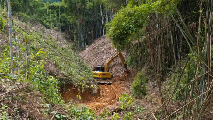 �ּ䡰���������񺣡��Ի�������bbin��ӯ��ҵ�ڻ�����������