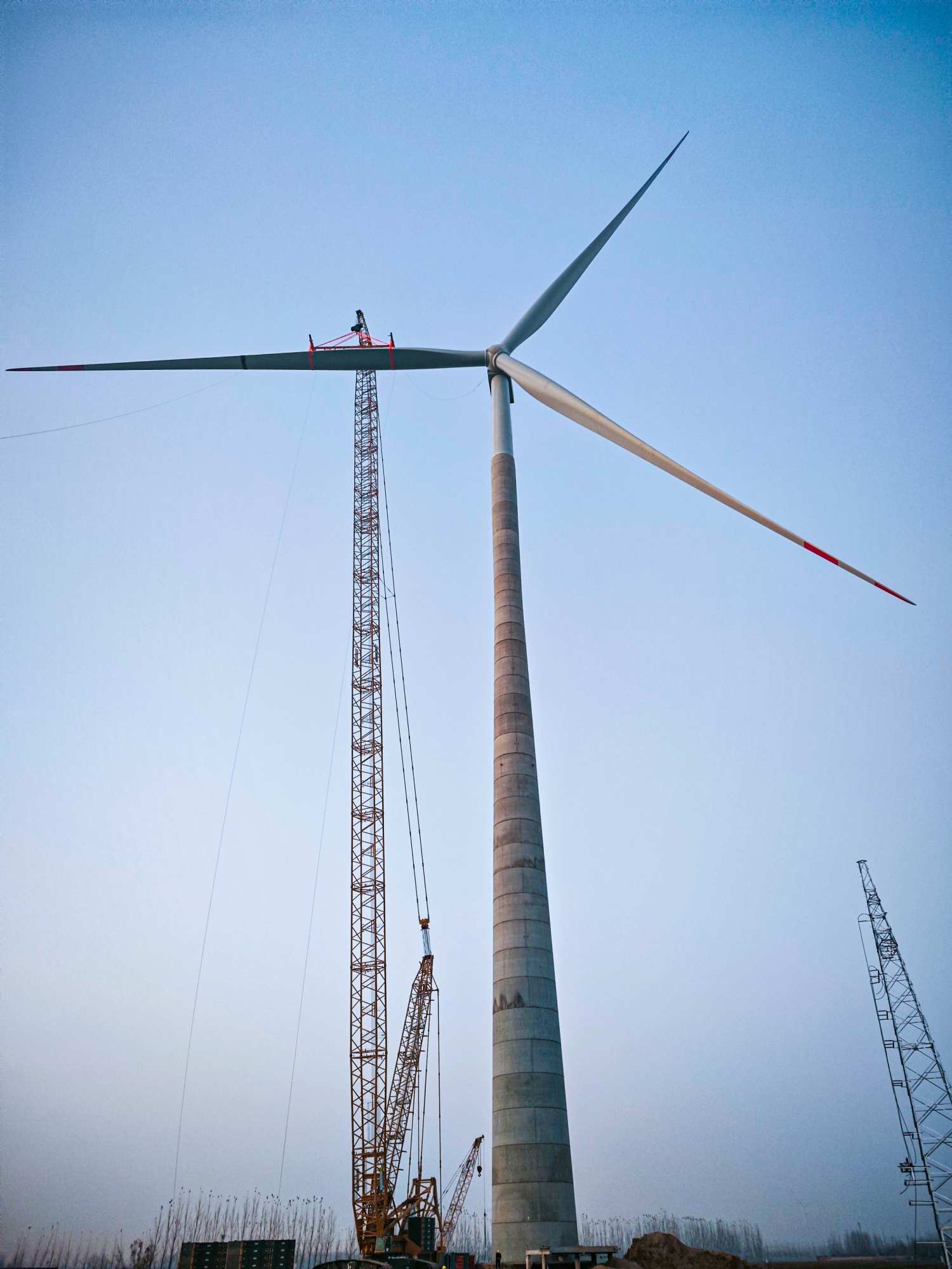 BBIN����ӯ����(�й�)���޹�˾