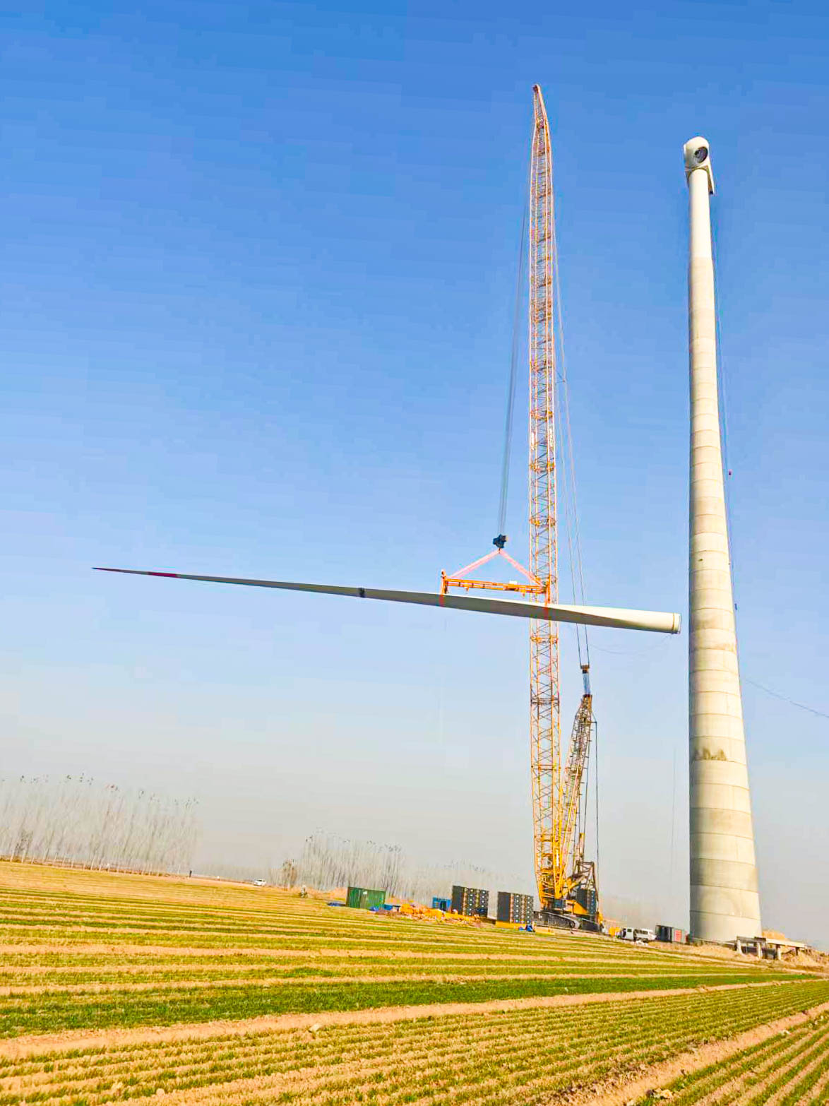 BBIN����ӯ����(�й�)���޹�˾