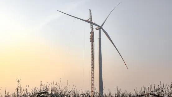 BBIN����ӯ����(�й�)���޹�˾