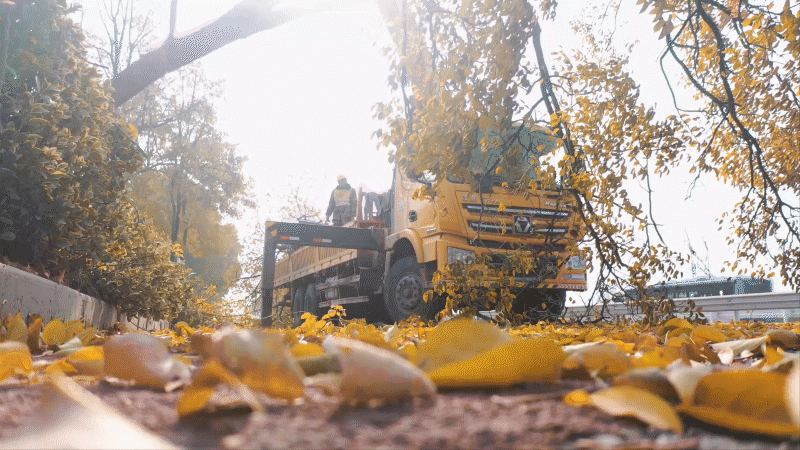 BBIN����ӯ����(�й�)���޹�˾