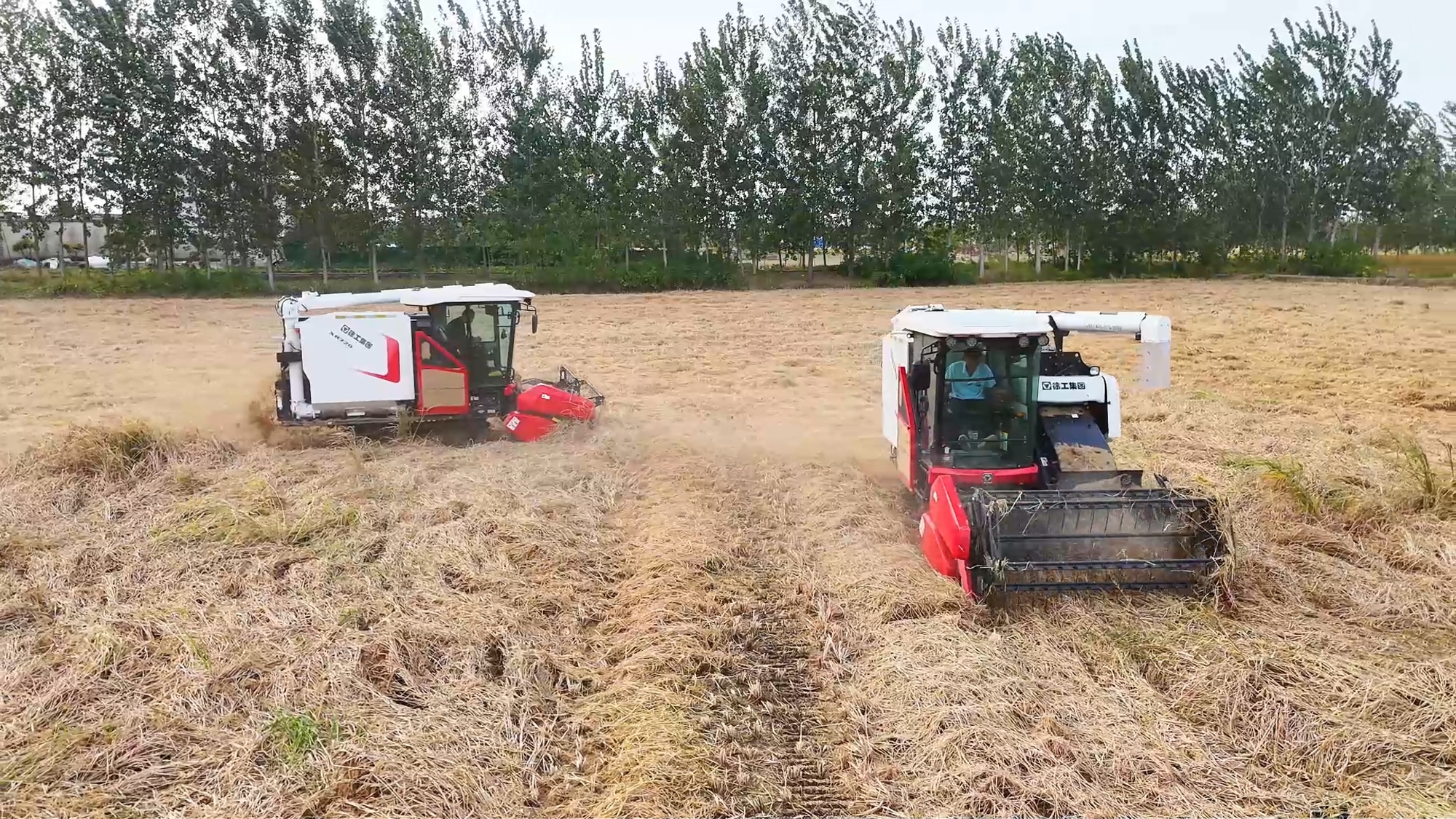 BBIN·宝盈集团(中国)有限公司