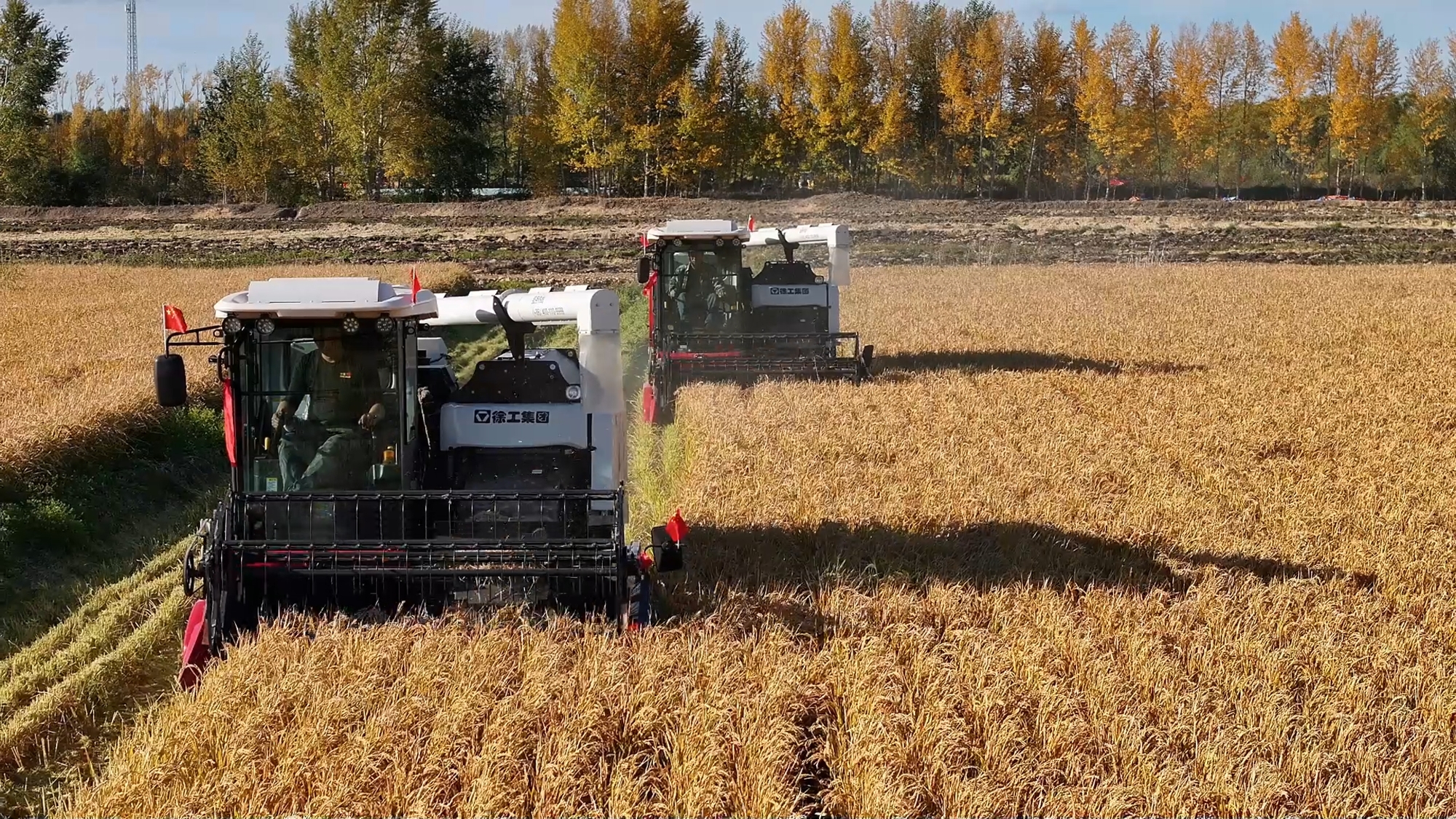 BBIN·宝盈集团(中国)有限公司