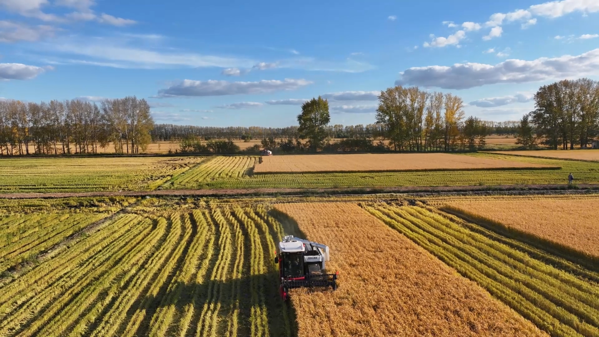 BBIN·宝盈集团(中国)有限公司