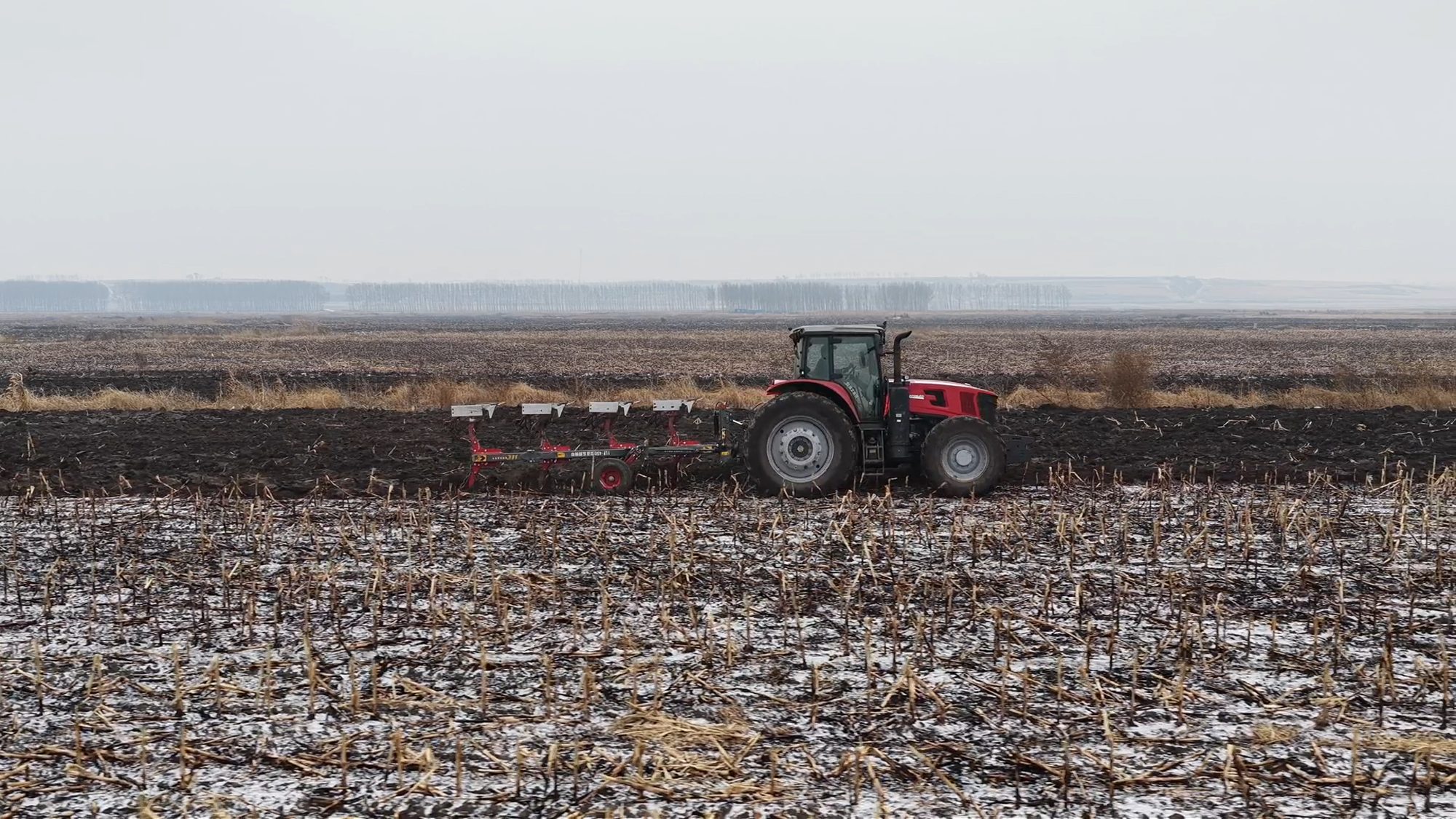 BBIN����ӯ����(�й�)���޹�˾